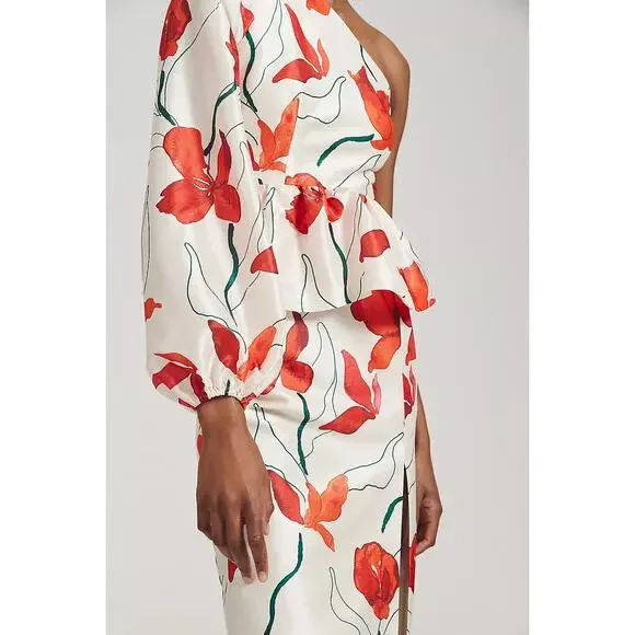 NWT ANTHROPOLOGIE Hutch One-Shoulder Peplum Dress $198 SIZE 6 Red Floral - Picture 3 of 7